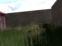 Grass models