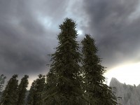 New model(and map)