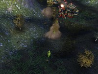 Grass :P