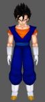 Playable Characters