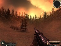 Early Forest Footage (shadows on)