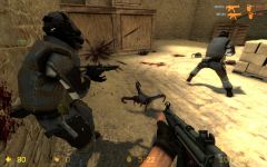 In the fight