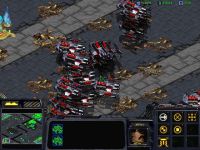 Zero Population Mod