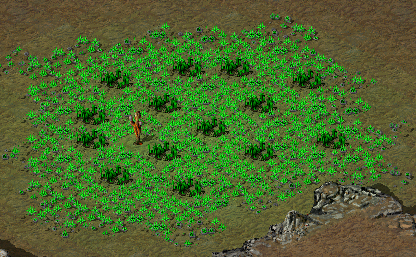 New Tiberium WIP