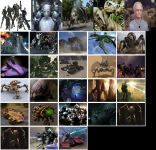 Collage of new images 2
