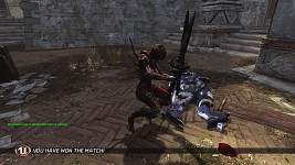 Dual Swords