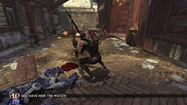 Dual Swords