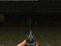 The Slug Gun