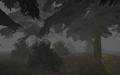 New forest with bushes