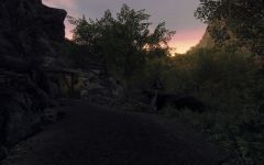 Environment Preview
