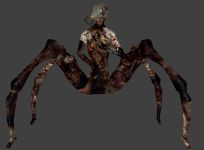 New Spider