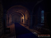 Baron's Castle - work in progress