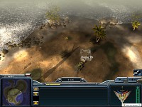 New Environment - New kinds of trees, again!