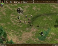 Village and unit