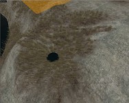 spider hole FTW
