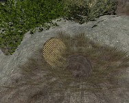 spider hole FTW
