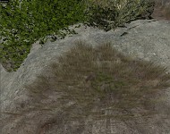 spider hole FTW