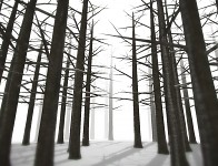 Unity prototype 1