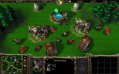 Night Elves