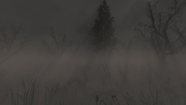 Hunting Platform