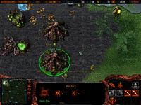 Warcraft vs Starcraft Beta
