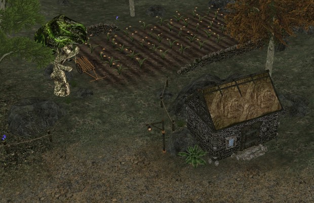Morrowind Rebirth v 2.02 soon!