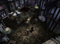 More Features in the Expansion