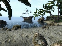 More Features in the Expansion