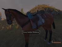 New Weapons/Horse/Uniforms