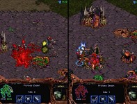 Reworked Plague