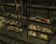 In-game unedited screens
