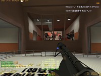 granary in CS