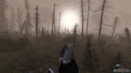 Players' screenshots