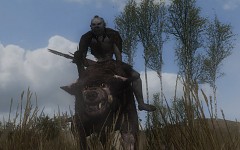 Players' screenshots
