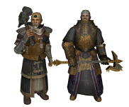 Warrior Priest