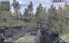 Laser Sight