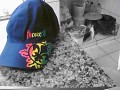 FocoZero