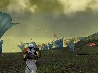 Images from The Mod