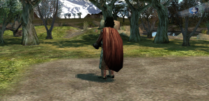 Captain of Khand's variags