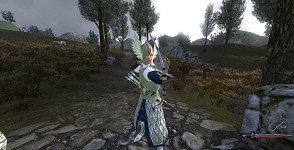 Proud Captain of Ulthuan.