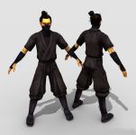 Ninja Model