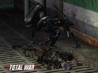 Total War mod Runner