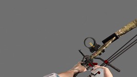 Compound Bow