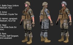 National Guard (beta 1) breakdown