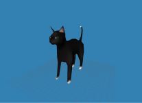 Cat model