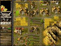 Vineyard