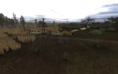 Picture of one of the places in the Dark Swamps