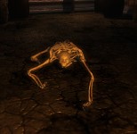 Survival Guide Images