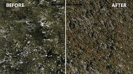 images