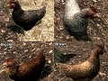 Bellyaches Animal Pack by Bellyache